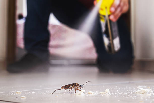 Best Wildlife Control Services  in Lynnwood, WA