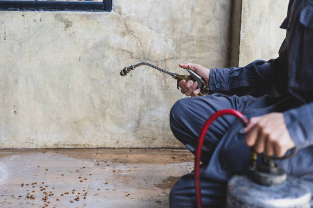 Best Pest Prevention Services  in Lynnwood, WA